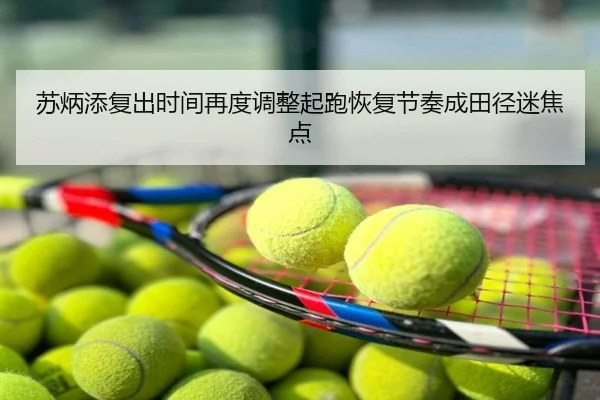 苏炳添复出时间再度调整起跑恢复节奏成田径迷焦点